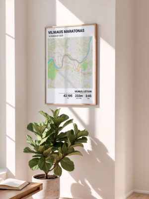 Vilniaus Maratono Printas 2025